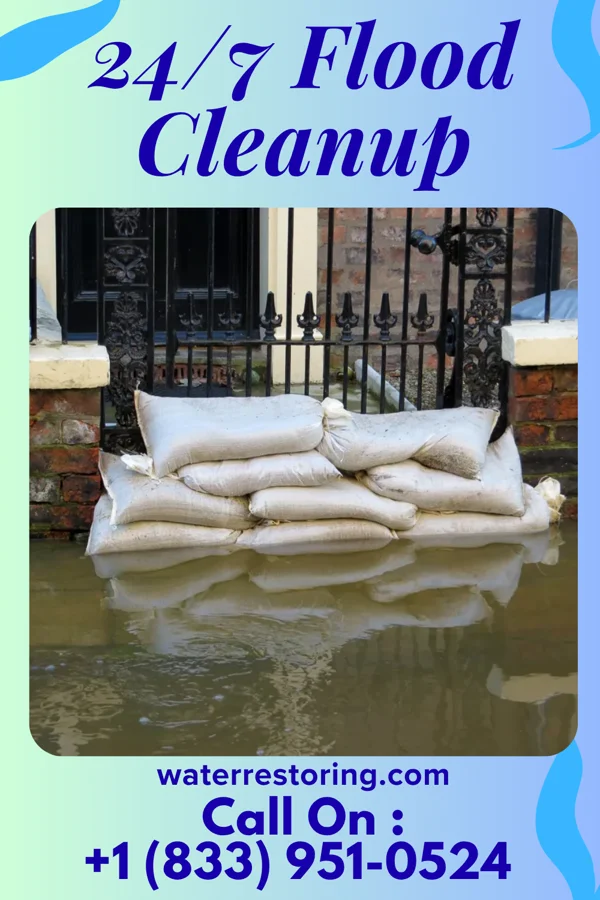 24/7 Flood Cleanup in Shark River Hills, NJ