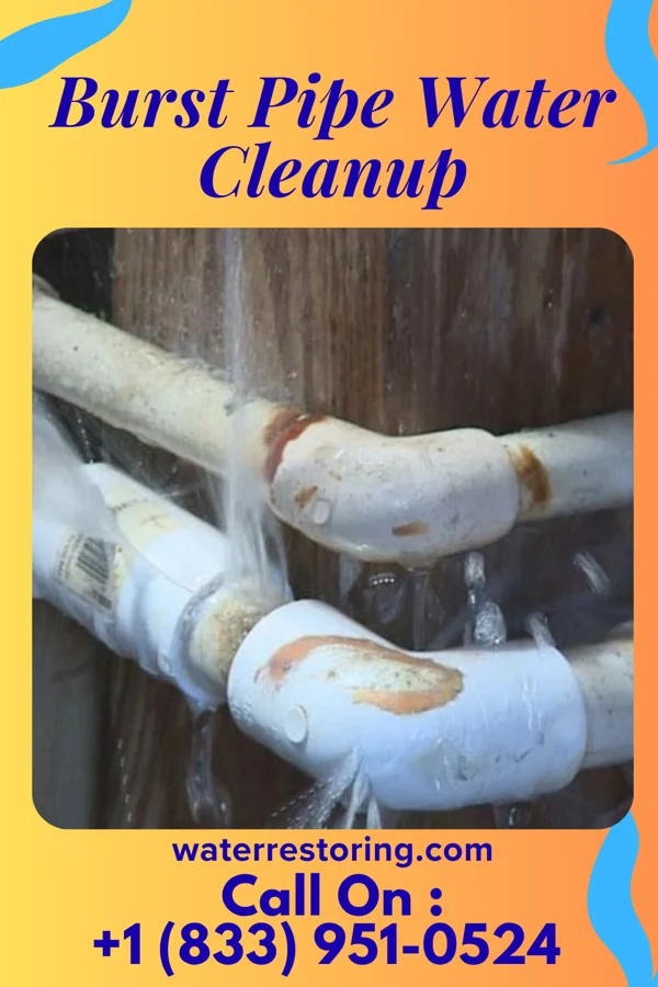 Burst Pipe Water Cleanup in Shark River Hills, NJ