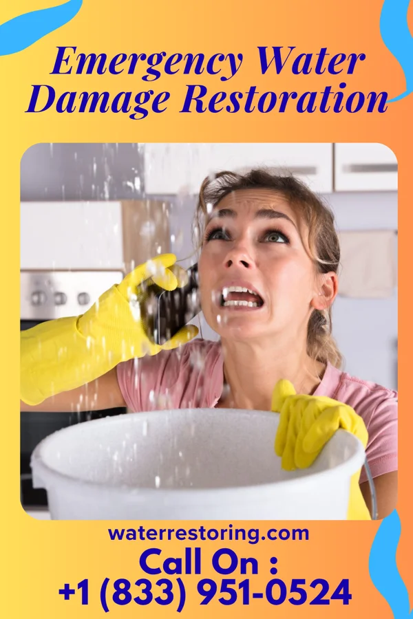 Emergency Water Damage Restoration in Shark River Hills, NJ