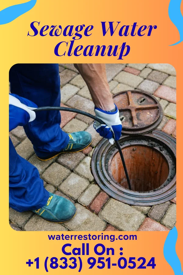 Sewage Water Cleanup in Shark River Hills, NJ