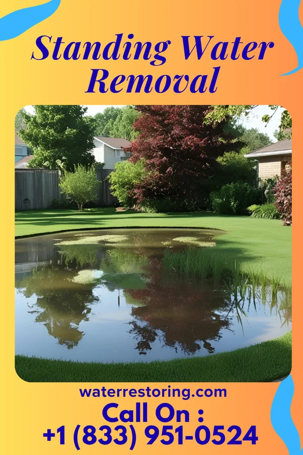 Standing Water Removal in Shark River Hills, NJ